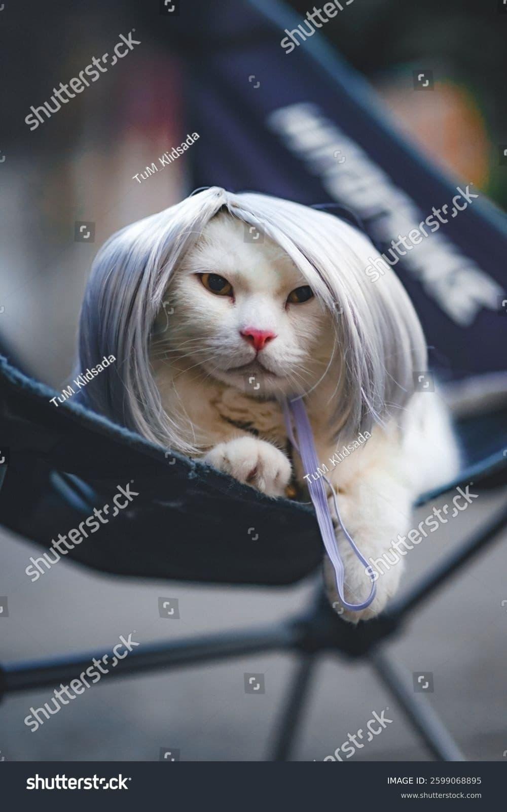 Exclusive analysis did lyle actually have a wig and why new photos and witness accounts matter