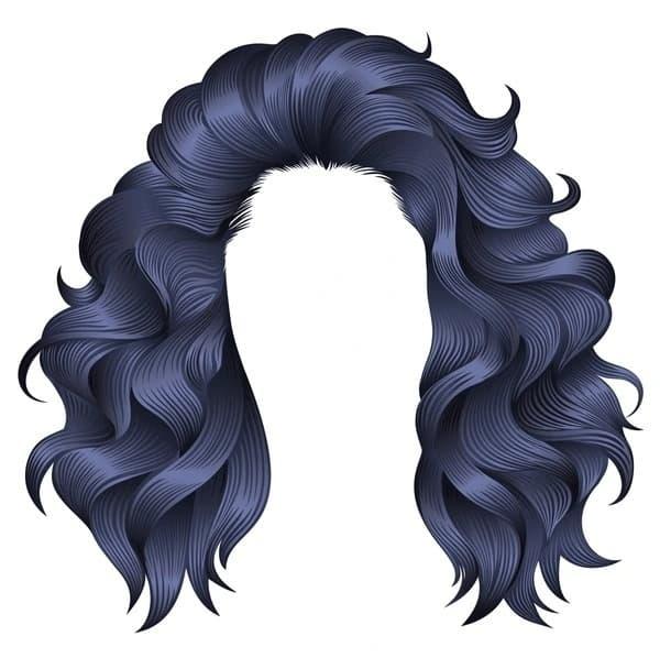 why did people wear wigs — a concise history of fashion, hygiene and social status