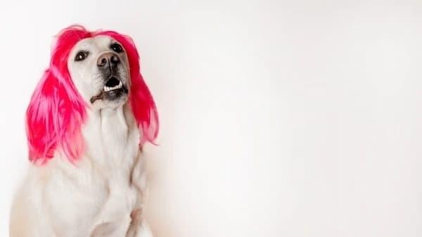 is 200 density good for a wig A stylist guide to choosing styling and care tips for a natural full look